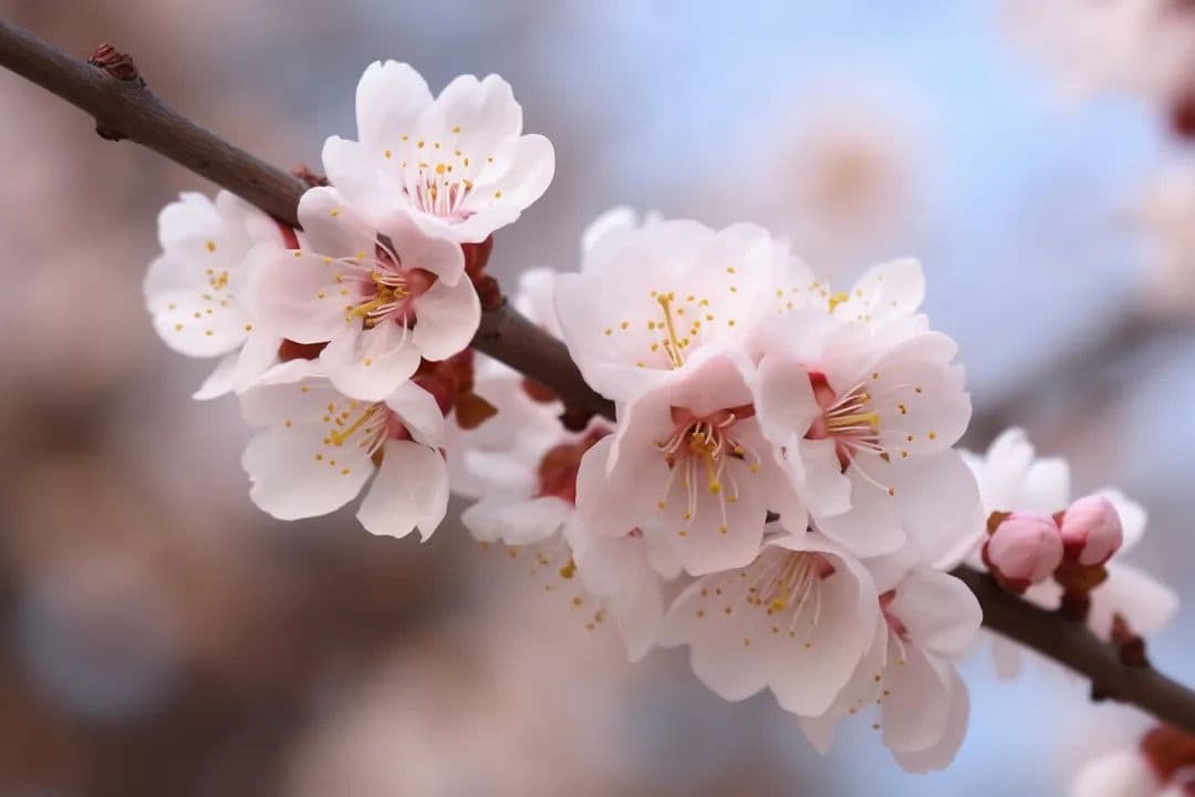 aaaaa